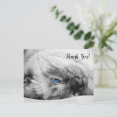 シャム青い目の猫ありがとう ポストカード (スタンド正面)