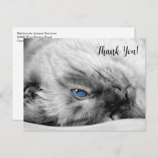 シャム青い目の猫ありがとう ポストカード (正面/裏面)