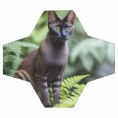 シャム黒猫サッカーボールをデクスター サッカーボール (フラット)