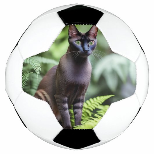 シャム黒猫サッカーボールをデクスター サッカーボール (正面)