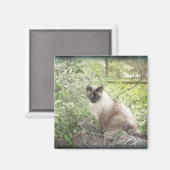 シャム&つる植物 マグネット (正面/裏面)