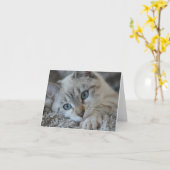 シャムLinxポイント カード (黄色い花)