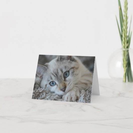 シャムLinxポイント カード (正面)