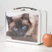 シャメスキッテンスウィーティ顔 メタルランチボックス (インサイチュ)