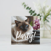 シャメスキャットインスパパーティの招待状 招待状 (スタンド正面)