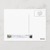 シャメスレッドリボン ポストカード (裏面)