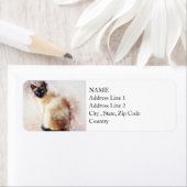 シャメゼ |抽象芸術 |水彩 ラベル (インサイチュ)