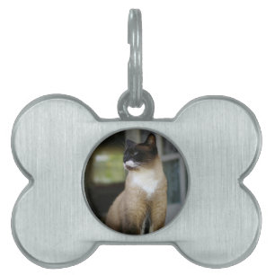 シャメッセキャットオンザポーチ ペットネームタグ