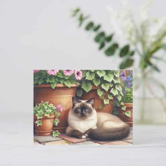 シャメネコ横たわる花猫好き ポストカード (スタンド正面)