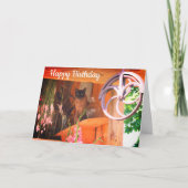 シャメネコ2動物誕生日カード カード (正面)