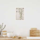 シャメラム・ノビールアリオーニ， c.1568 ポスター (キッチン)