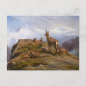 シャモアバイローザボヌールはがき ポストカード (正面)