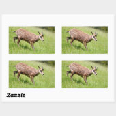 シャモア歩くオン草はがきTシャツコーヒーM 長方形シール (シート)