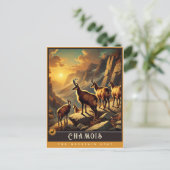 シャモア | かわいい家族ヴィンテージ動物はがき ポストカード (スタンド正面)