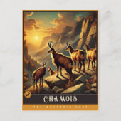 シャモア | かわいい家族ヴィンテージ動物はがき ポストカード (正面)