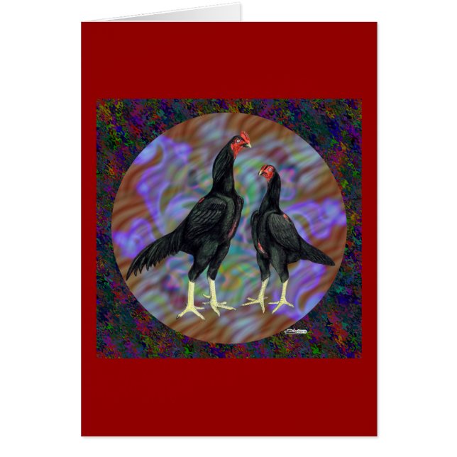 シャモ：黒ペア (正面)