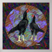 シャモ:黒ペア ポスター (正面)