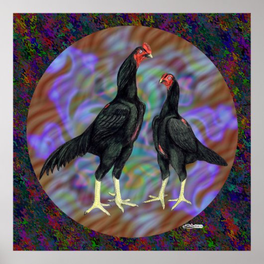 シャモ:黒ペア ポスター (正面)