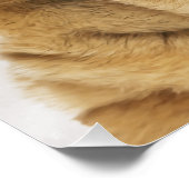 シャリ中国のペポスター ポスター (コーナー)