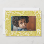 シャルトルーイバラ |フェスティバル植物写真 シーズンカード (正面)