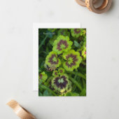 シャルトルーカラーゼラニウム離れ ノートカード (正面/裏面インサイチュ)