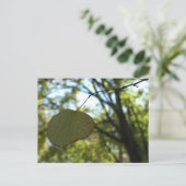 シャルトルーズ穏やか ポストカード (スタンド正面)