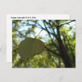 シャルトルーズ穏やか ポストカード (正面/裏面)