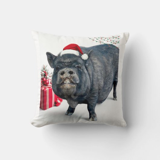 シャルドネでYAYなクリスマス クッション (正面)