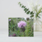 シャルドン・デ・シャン ポストカード (スタンド正面)