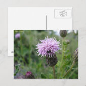 シャルドン・デ・シャン ポストカード (正面/裏面)