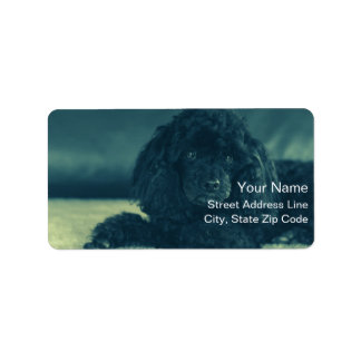 シャルマンテンシュワルツェンプデル ラベル