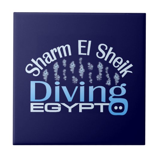 シャルムエルシェイクタイル タイル (正面)