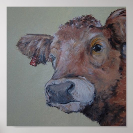 シャルルハイランダー牛が覗き見る ポスター (正面)