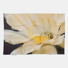 シャルルマーニュエキノプシス開花 キッチンタオル