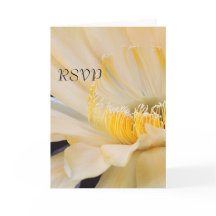 シャルルマーニュ エキノプシス 開花 RSVP