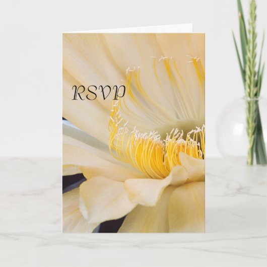 シャルルマーニュ エキノプシス 開花 RSVP 招待状 (正面)