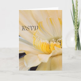 シャルルマーニュ エキノプシス 開花 RSVP 招待状