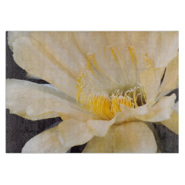 シャルルマーニュechnopsisの開花 カッティングボード