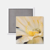 シャルルマーニュechnopsisの開花 マグネット (正面/裏面)