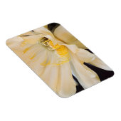 シャルルマーニュechnopsisの開花 マグネット (右側)