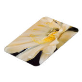 シャルルマーニュechnopsisの開花 マグネット (左側)