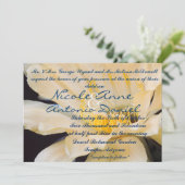 シャルルマーニュechnopsisの開花 招待状 (スタンド正面)