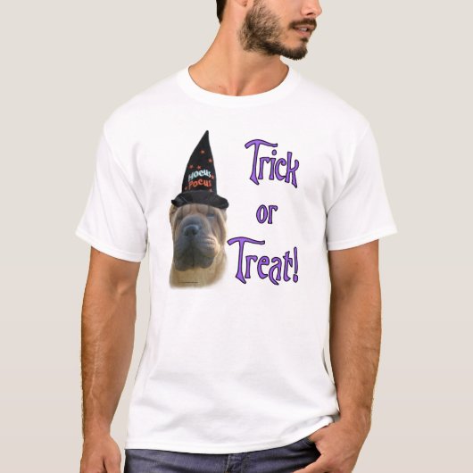 シャル中国のペイのトリック Tシャツ (正面)