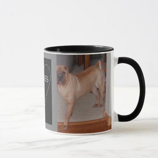 シャル中国のペイムグ マグカップ (右)