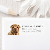 シャル中国のペイ住所 シール (インサイチュ)