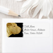 シャル中国のペイ差出人住所ラベル ラベル (インサイチュ)