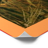 シャロットの婦人 ポスター (角)