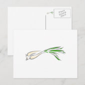 シャロット ポストカード (正面/裏面)