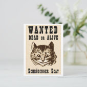 シャロディンガーの猫指名手配 ポストカード (スタンド正面)