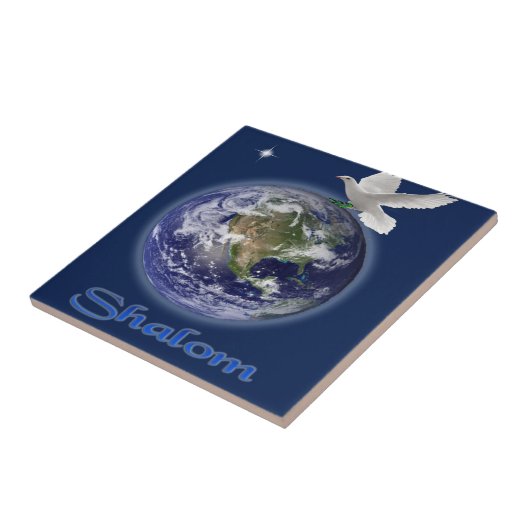 シャロム タイル (側面)